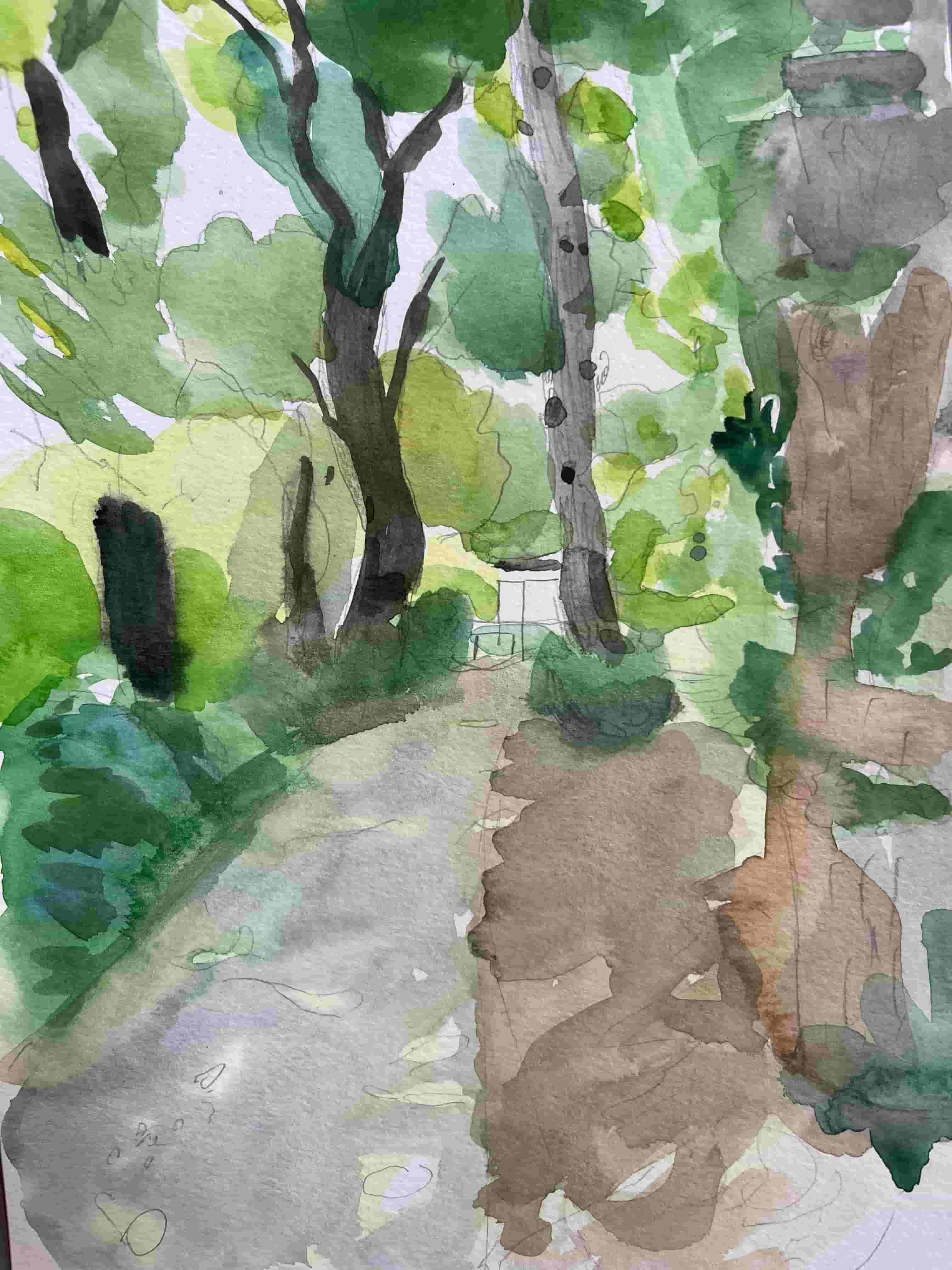 Chemins d’arbres allant au Navibus
