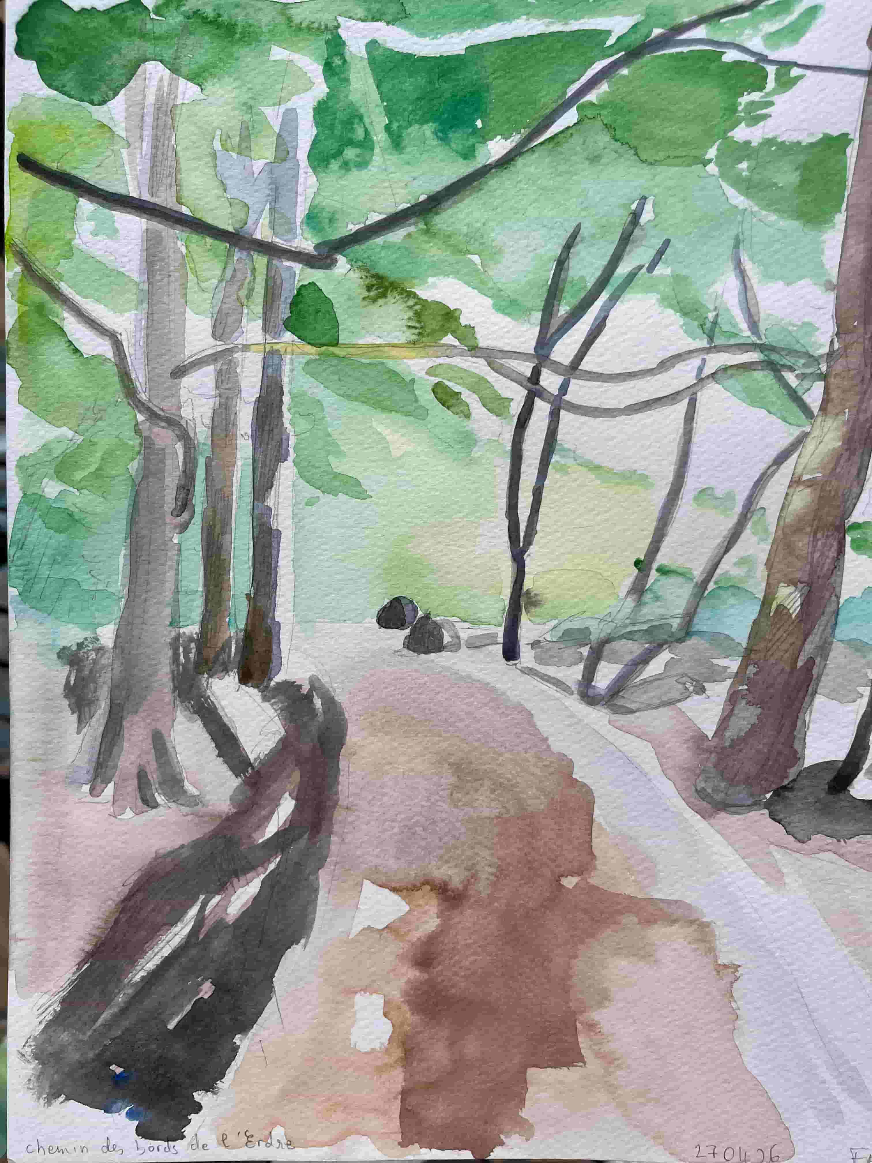 Erdre chemin sous-bois